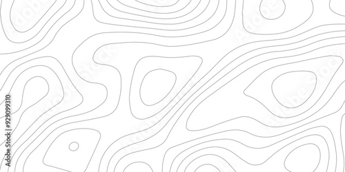 Abstract wave paper curved reliefs background .gradient multicolor wave curve lines banner background design .topographic contours map background .Vector geographic contour map.	