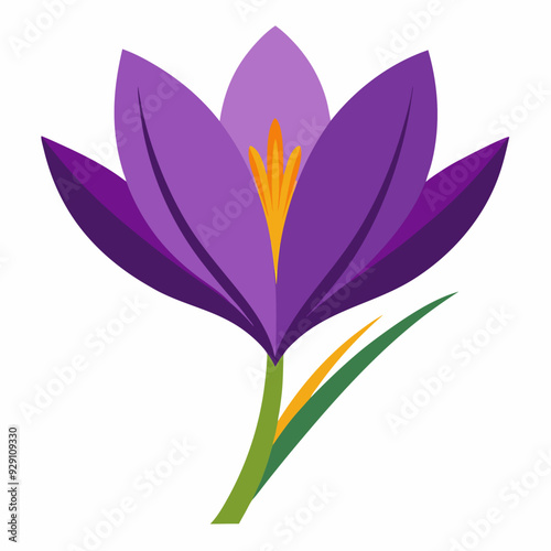 A Saffron flower vector illustration