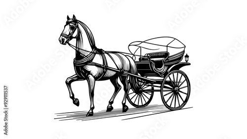 classic horse-drawn carriage vector