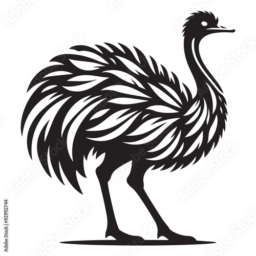 Ostrich silhouette vector illustration, Ostrich emu bird vector illustration on a white background photo