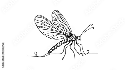 Mayfly one line art illustration 