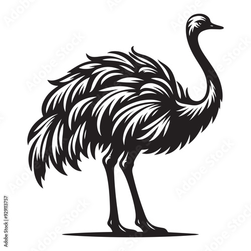 Ostrich silhouette vector illustration, Ostrich emu bird vector illustration on a white background