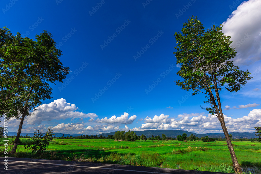 Nature Wallpaper (Mountains, Green Fields, Roadside Accommodation, Twilight Sky) The beauty of nature while traveling, with the wind blowing through the blurred leaves. Nature Wallpaper (Mountains, Green Fields, Roadside Accommodation, Twilight Sky) The beauty of nature while traveling, with the wind blowing through the blurred leaves.