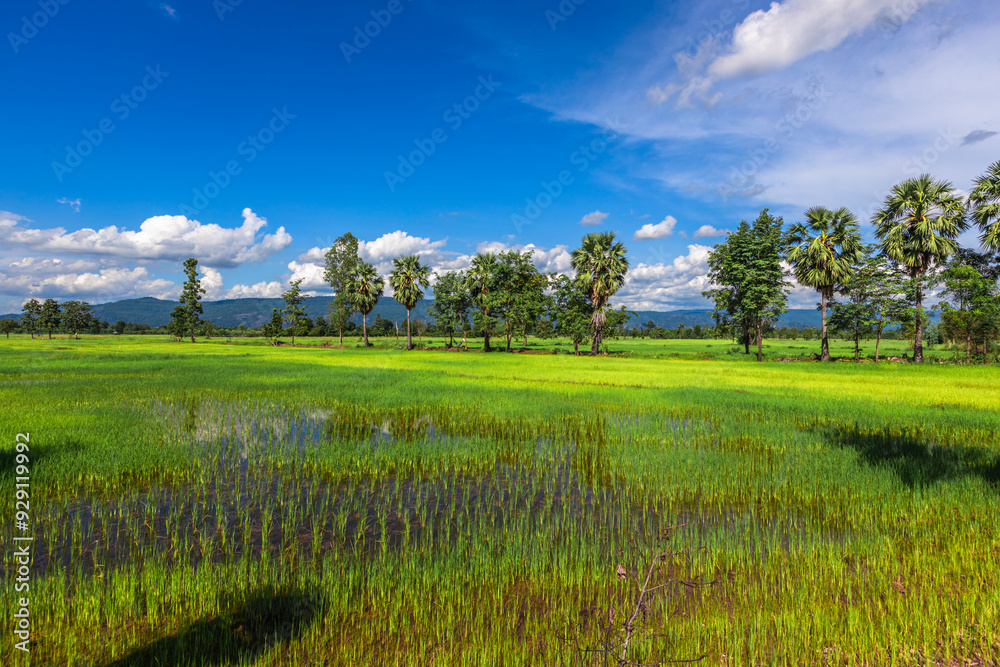 Obraz premium Nature Wallpaper (Mountains, Green Fields, Roadside Accommodation, Twilight Sky) The beauty of nature while traveling, with the wind blowing through the blurred leaves.