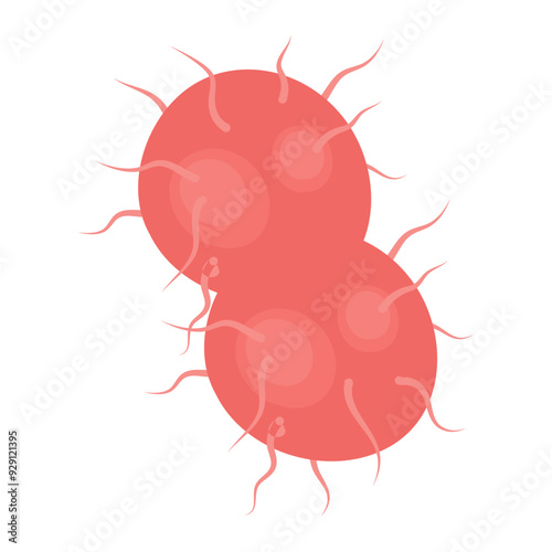 Vector isolated illustration of gonorrhea pathogen under a microscope. Gonorrhea bacteria. Сausative agent of gonorrhea.