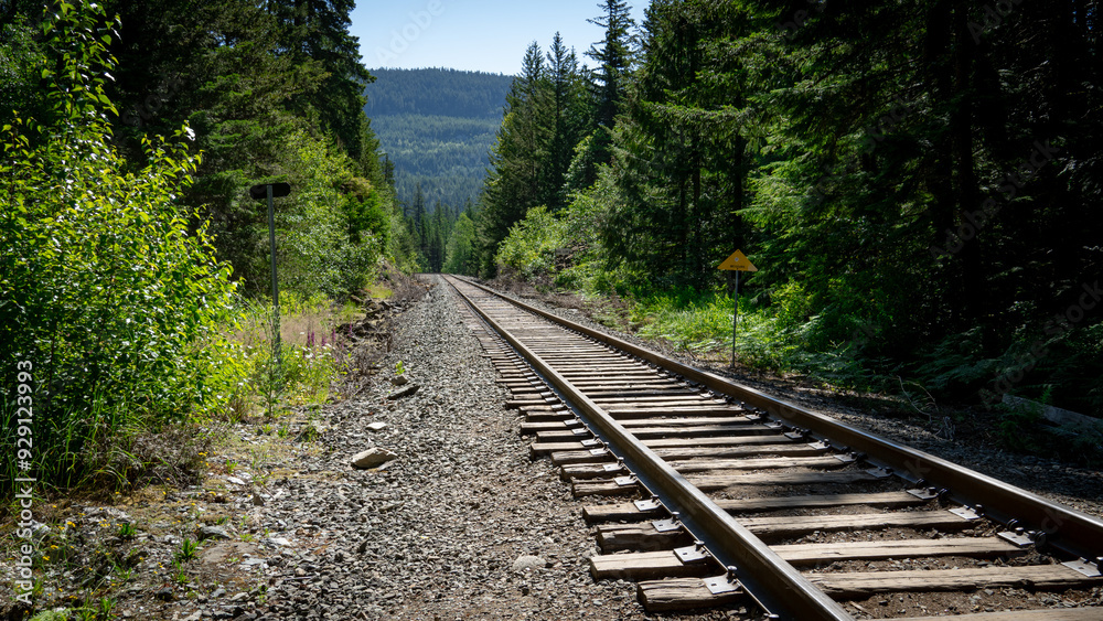 Obraz premium railway in the forest