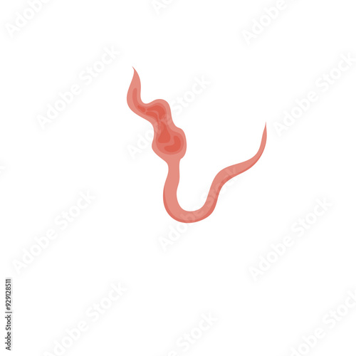 Flatworms parasite illustration 