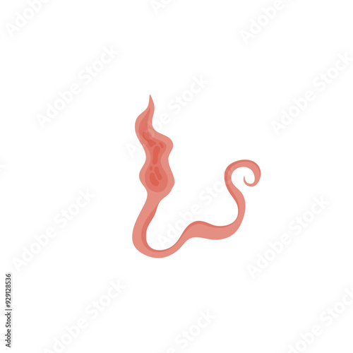 Flatworms parasite illustration 