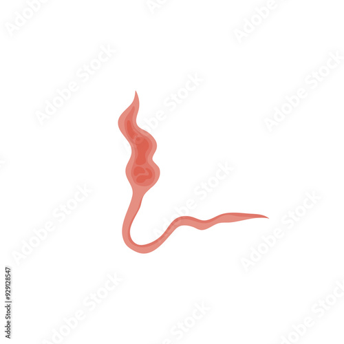 Flatworms parasite illustration 