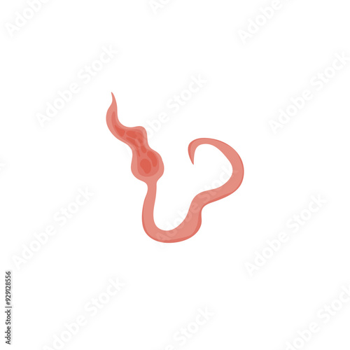 Flatworms parasite illustration 