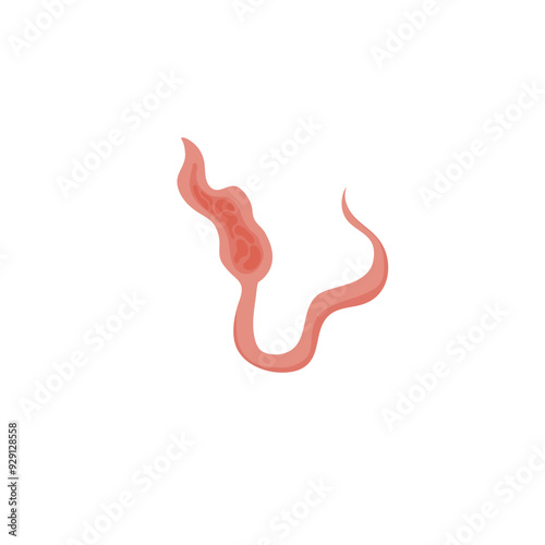 Flatworms parasite illustration 