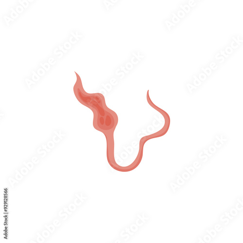 Flatworms parasite illustration 