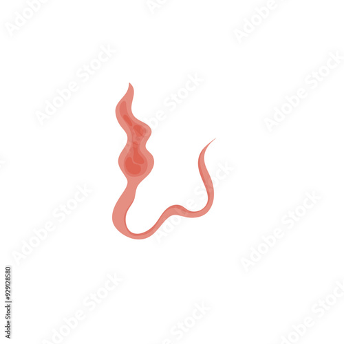 Flatworms parasite illustration 