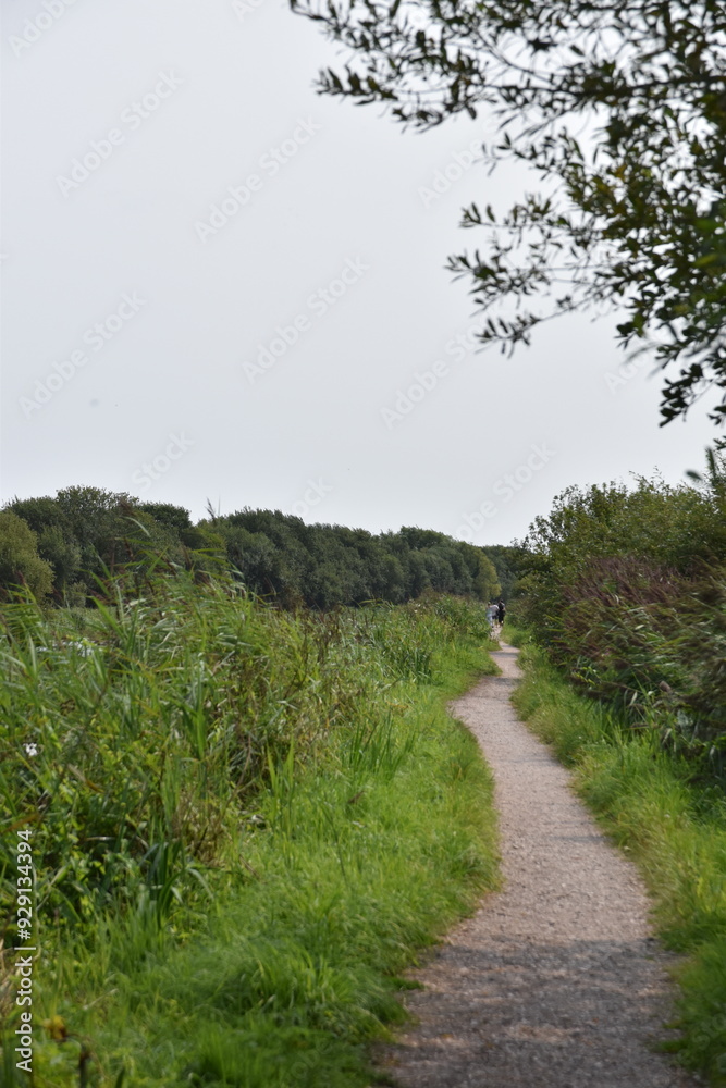 Fototapeta premium a walk along the exeter ship canal