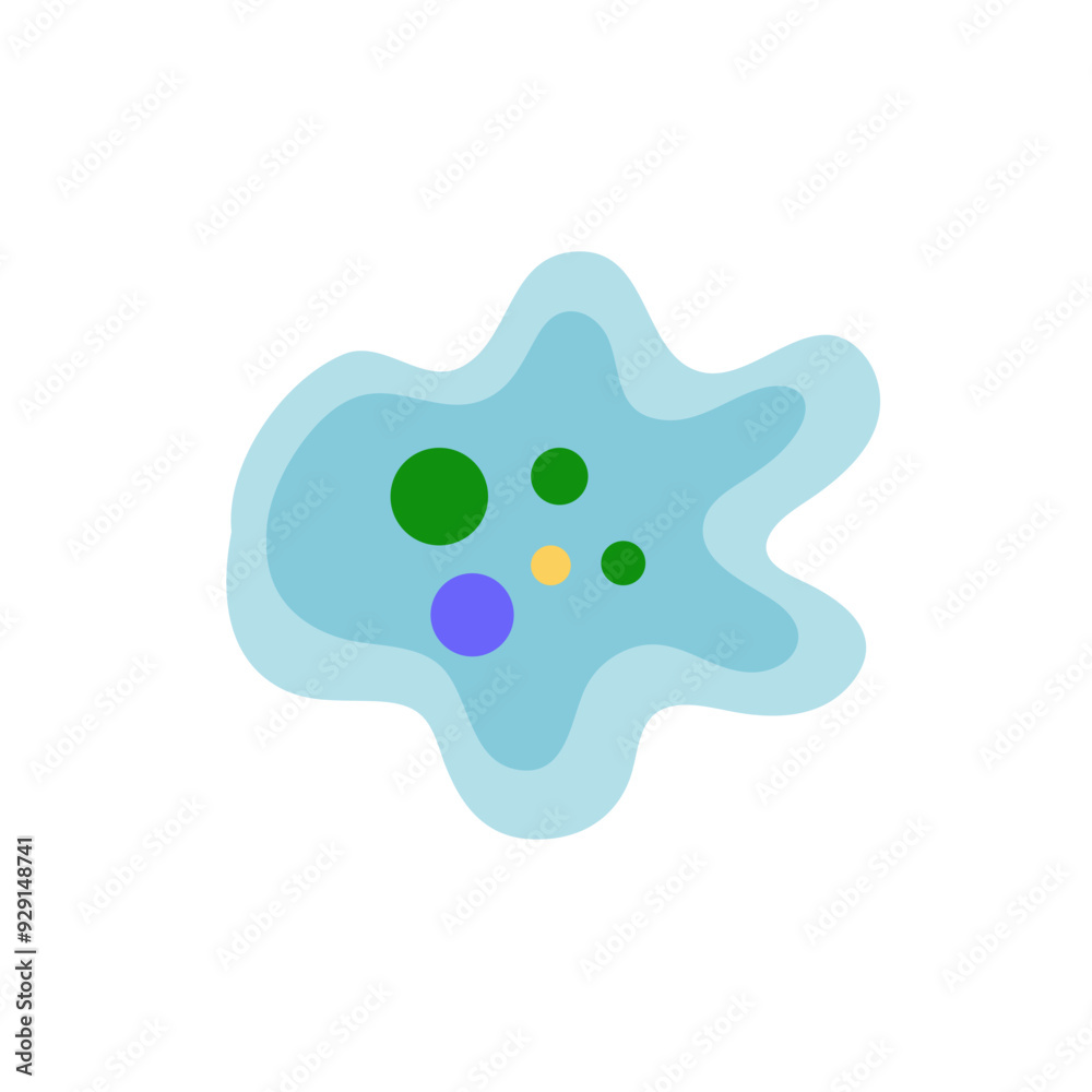Binary fission in amoeba. Vector educational illustration. Reproduction Binary fission in amoeba. Vector educational illustration. Reproduction