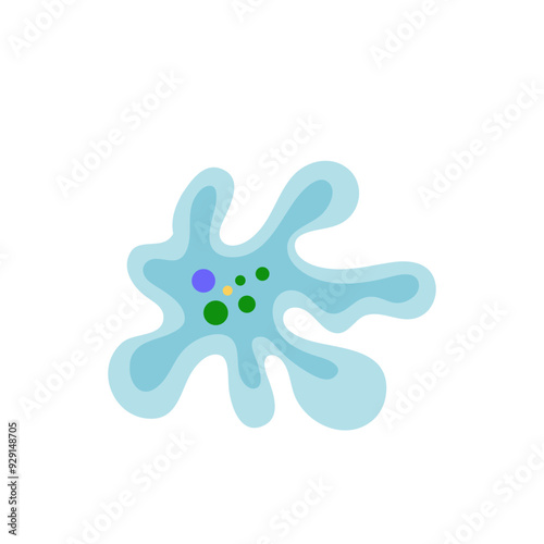 Binary fission in amoeba. Vector educational illustration. Reproduction