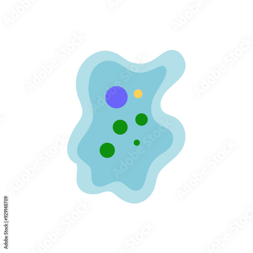 Binary fission in amoeba. Vector educational illustration. Reproduction