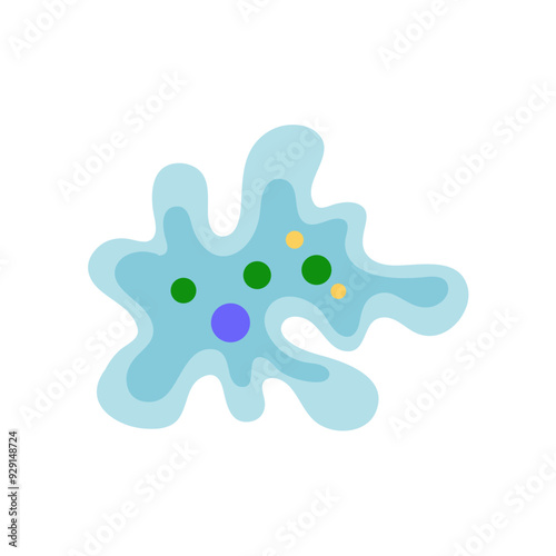 Binary fission in amoeba. Vector educational illustration. Reproduction