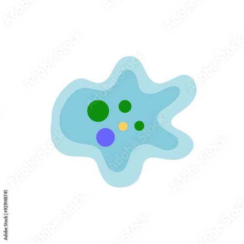 Binary fission in amoeba. Vector educational illustration. Reproduction