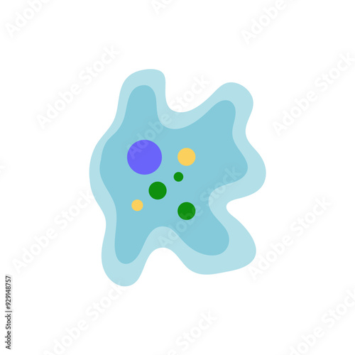 Binary fission in amoeba. Vector educational illustration. Reproduction