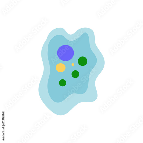 Binary fission in amoeba. Vector educational illustration. Reproduction