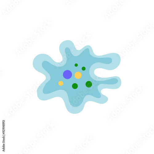 Binary fission in amoeba. Vector educational illustration. Reproduction