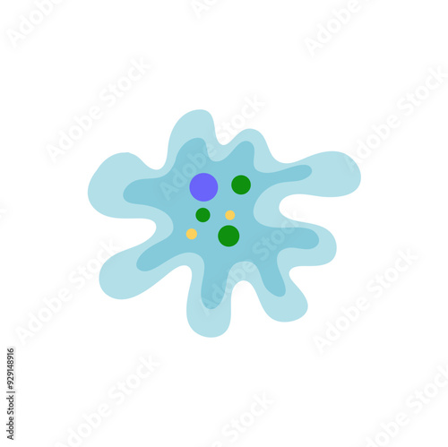 Binary fission in amoeba. Vector educational illustration. Reproduction