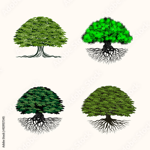 set oak tree root illustration vector design with circle shape	