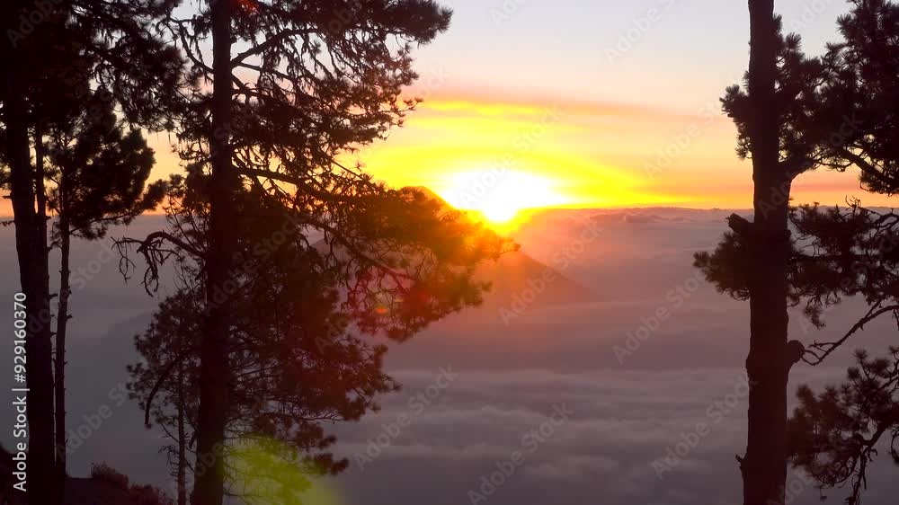 A lens flare from the sunrise while looking through tree branches at a volcano above the clouds A lens flare from the sunrise while looking through tree branches at a volcano above the clouds