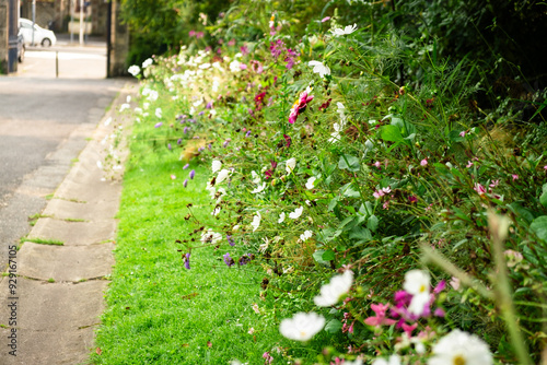 Fototapeta Naklejka Na Ścianę i Meble -  Vibrant Wildflowers Along a Serene Pathway in an Urban Setting