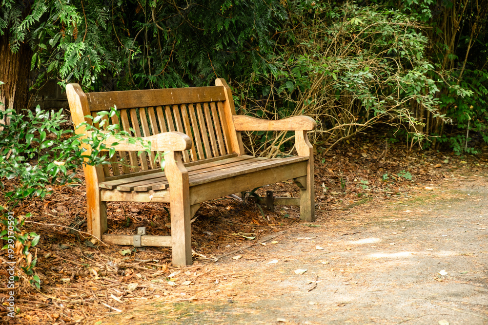 Wooden Park Bench in a Serene Garden Surrounded by Lush Greenery on a Sunny Day Wooden Park Bench in a Serene Garden Surrounded by Lush Greenery on a Sunny Day