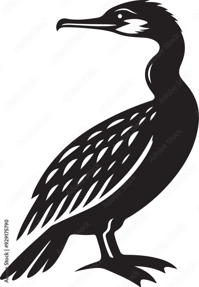 Obraz premium Cormorant silhouette and vector illustration