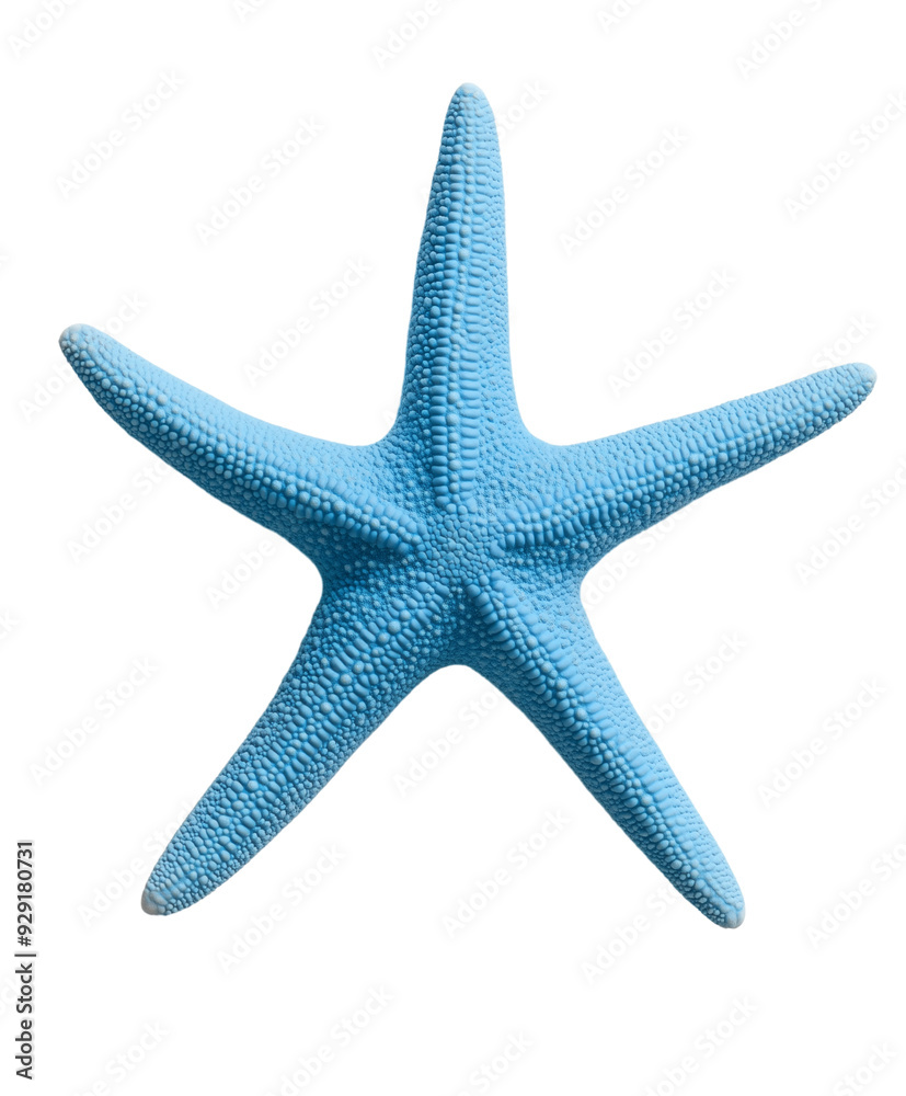 blue starfish isolated on transparent background blue starfish isolated on transparent background