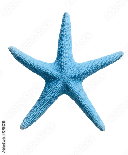 blue starfish isolated on transparent background