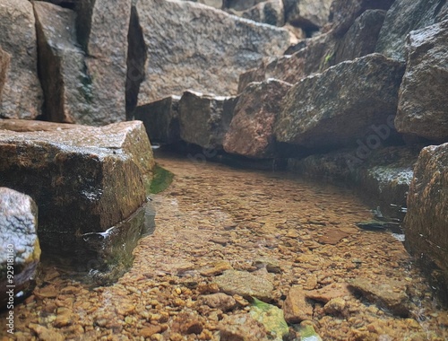 A water source, a spring in a stone bowl forest