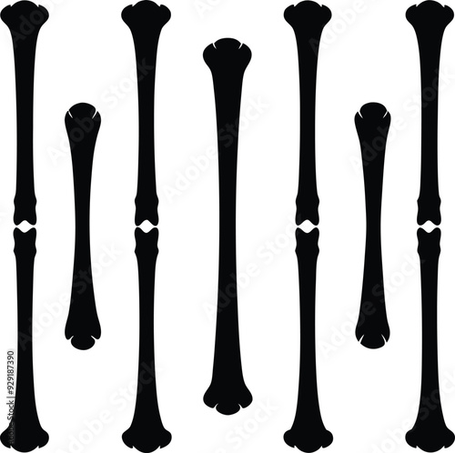 Bone Shadowy Silhouette Vector Art Pack