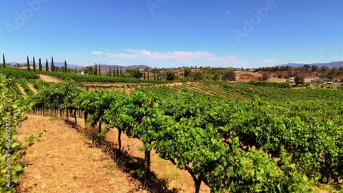 California, Wineries, Solar, Landscape, Scenic, Vineyards, Drone, Vines, Grapes photo