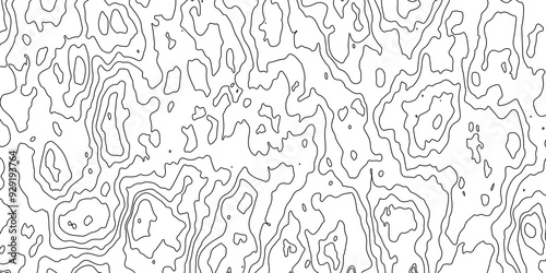 Vector topographic map background. Business concept. Abstract vector illustration.