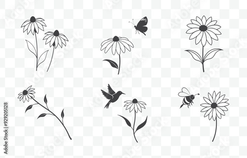 Print Rudbeckia Flower Botanical Line Art Vector Set with Detailed Illustrations of Black Eyed Susan Blooms and Foliage