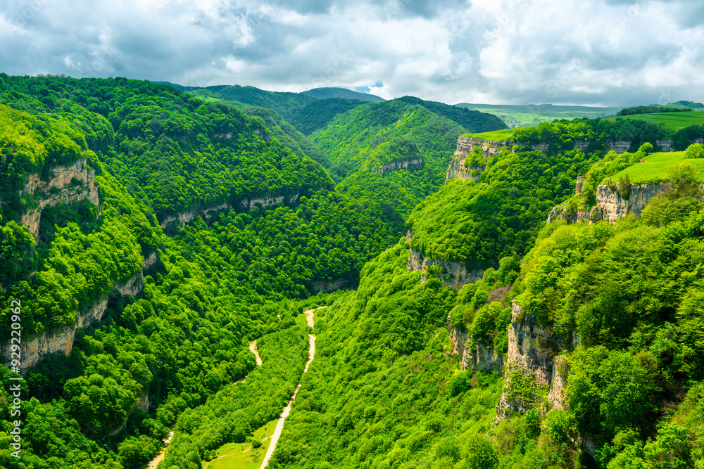 Fototapeta premium Scenic view of a deep green canyon with rocky walls in a mountainous area in cloudy weather