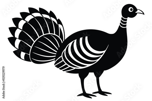 Wild Turkey on Vector Illustration, wild turkey vector illustration, perfect for wildlife and nature