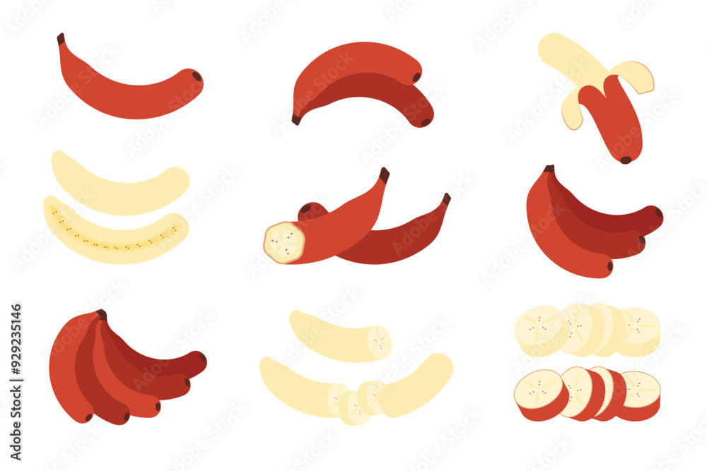 Set of Red Banana, Farm fresh Red Banana product emblem for grocery shop, Slides, long and cross sections, and different positions, simple flat vector illustration of vegetables and fruits. Set of Red Banana, Farm fresh Red Banana product emblem for grocery shop, Slides, long and cross sections, and different positions, simple flat vector illustration of vegetables and fruits.