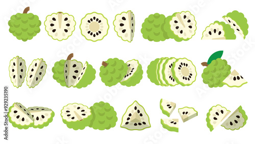 Set of Green Annona, Farm fresh Annona product emblem for grocery shop, Slides, long and cross sections, and different positions, simple flat vector illustration of vegetables and fruits.