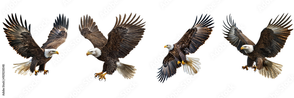 powerful eagle in mid-flight with wings spread wide isolated on transparent png background powerful eagle in mid-flight with wings spread wide isolated on transparent png background