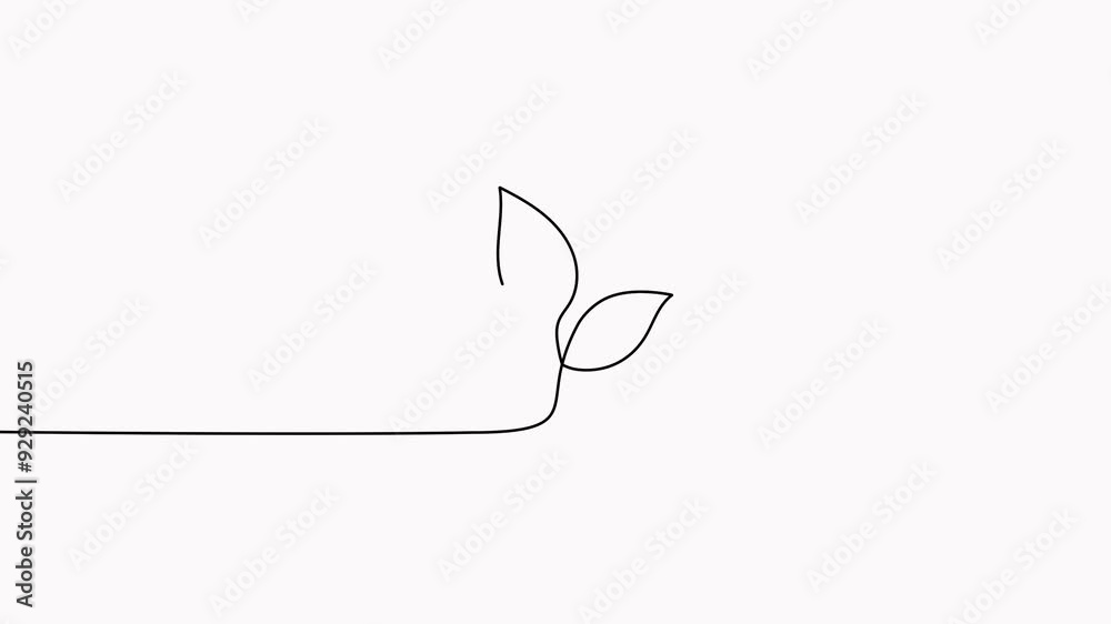 Leaves continuous line drawing animated video. Plant branch one line art. Leaves continuous line drawing animated video. Plant branch one line art.
