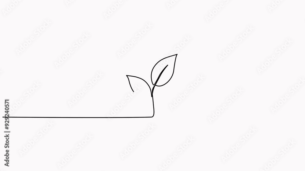 Leaves continuous line drawing animated video. Plant branch one line art.