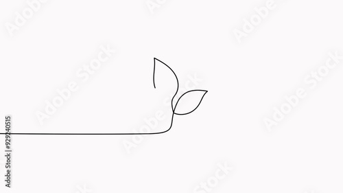 Leaves continuous line drawing animated video. Plant branch one line art.