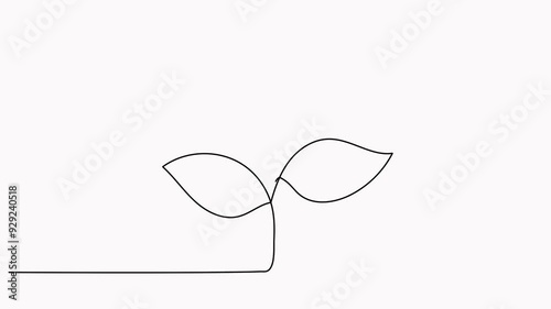 Leaves continuous line drawing animated video. Plant branch one line art.