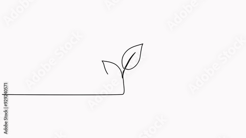 Leaves continuous line drawing animated video. Plant branch one line art.