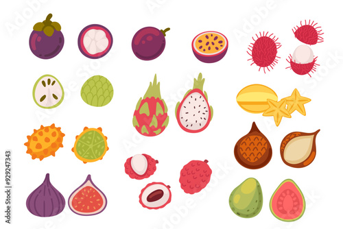 Tropical exotic fruits collection with mangosteen, dragon fruit, and more. Ripe healthy food. Vector illustration isolated on white background